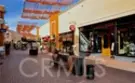 17 Canopy thumbnail 59