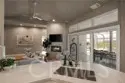 39140 Gray Squirrel thumbnail 12