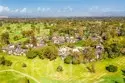 30 Arboles #34 thumbnail 31