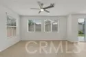 44965 Checkerbloom thumbnail 3