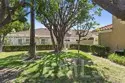 28927 Paseo Caravella thumbnail 24