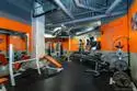 702 Ash Street #800 thumbnail 39