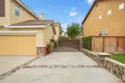 26352 Palm Tree thumbnail 66