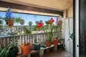 2540 Clairemont Drive #307 thumbnail 19
