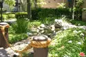 8306 Summertime Lane thumbnail 25