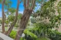 21038 Poolside thumbnail 23