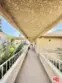 550 Orange Avenue #337 thumbnail 18