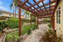 26352 Palm Tree thumbnail 64