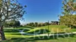 95 Canopy thumbnail 50