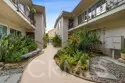 311 Cherry Avenue #2 thumbnail 4
