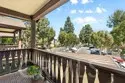 12437 Bay Hill Court thumbnail 27