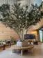 1100 Wilshire thumbnail 2
