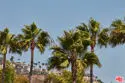6418 Lunita Road #138 thumbnail 11
