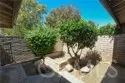 5468 Apricot Lane thumbnail 4