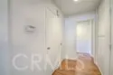 25261 Tanoak thumbnail 26