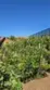 36493 Summitville thumbnail 29