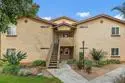 222 Woodland Parkway #155 thumbnail 1