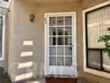 49 Clover thumbnail 12