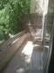 950 N Kings Road #103 thumbnail 28