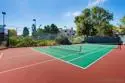 3243 Via Alicante #55 thumbnail 36