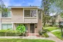 8437 El Arroyo thumbnail 18