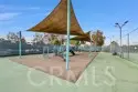 2207 Apricot thumbnail 29