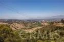 29412 Christiana Way thumbnail 29