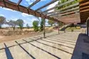 36499 Linda Rosea thumbnail 44