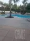 26373 Arboretum #1302 thumbnail 7