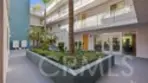5232 Satsuma thumbnail 29