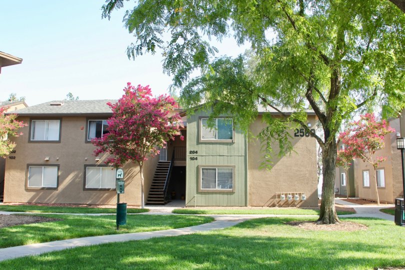 Apartment building, large tree, grass, stairs, numbers, sidewalk