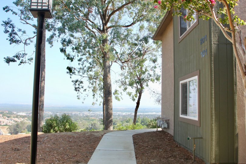 Mountain views from these condows high up in the hills with grown trees and serenity
