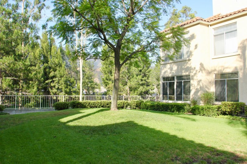 A garden with a tree infront of a house in The Terraces at Sierra Del Oro