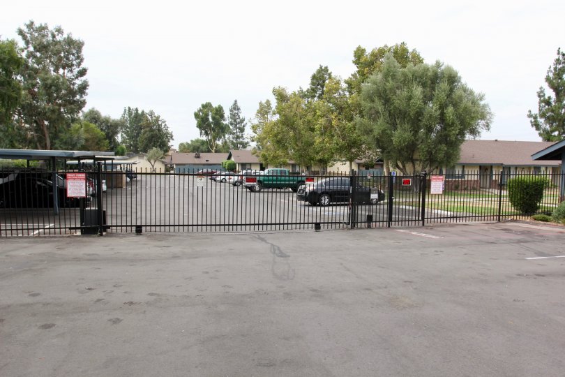 Gated community lined with trees at Olivewood Village