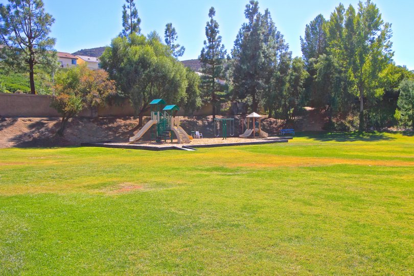 Fairway Estates at Bear Creek has a large green with playground