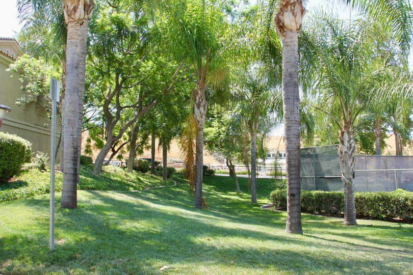 Sonata at Canyon Crest community and her exclusive greenery, riverside, California