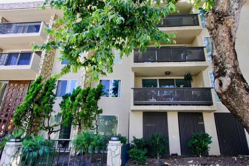 A sunny day at the Brentwood Sycamore's community in Brentwood, CA