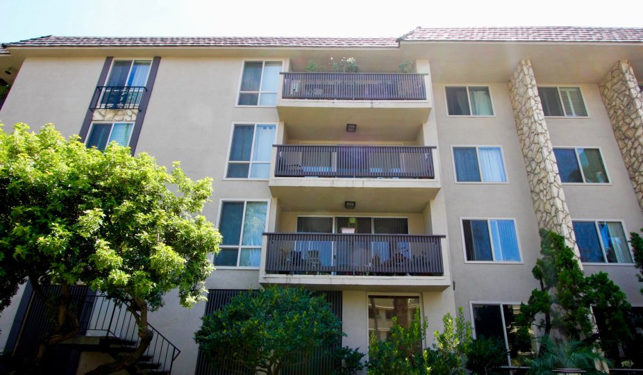 A sunny day at the Brentwood Sycamore Apartments with trees and bushes