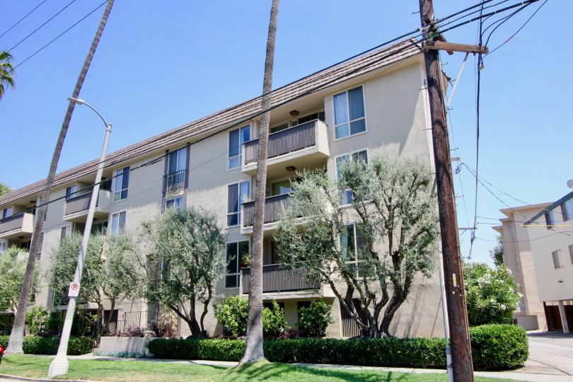 apartment with long trees surrounded by it in brentwood