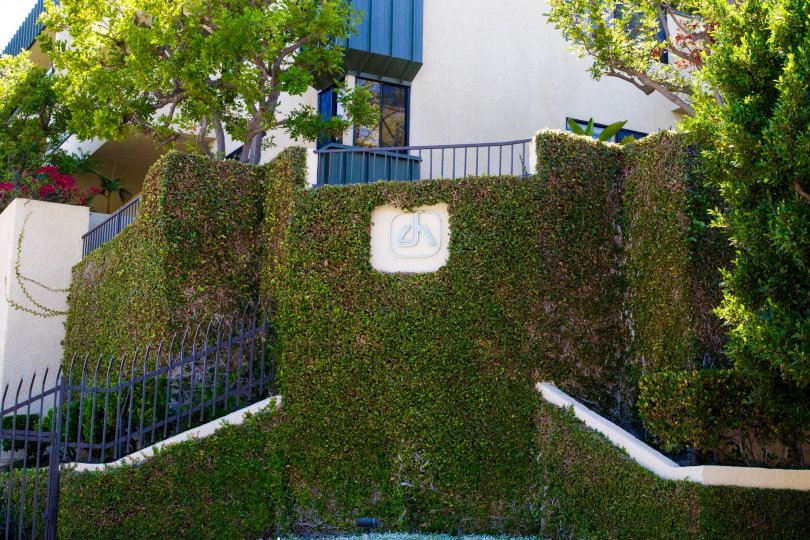 Century Hill building marquee surrounded by ivy