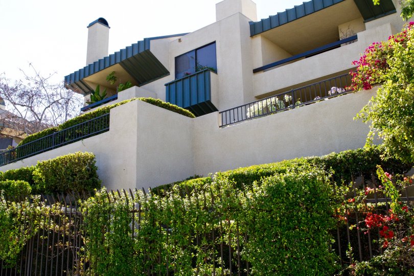 The grounds and balconies of the condos of Century Hill are lushly planted