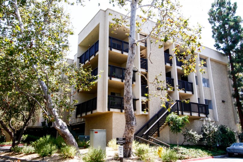 The landscaping around Raintree Condominiums