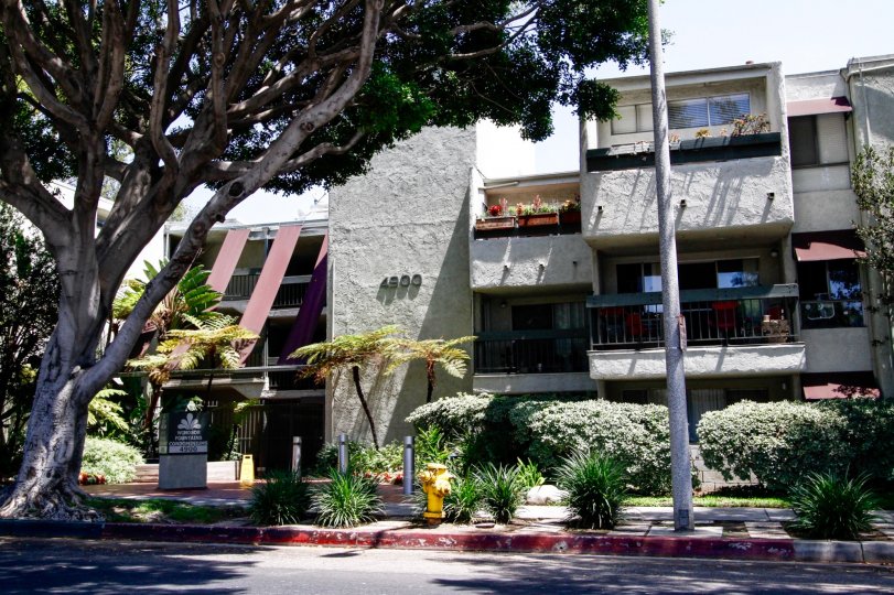 The Windsor Fountains building in Culver City