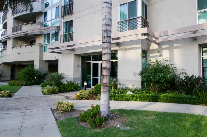 The landscaping around Teramachi Homes in Downtown LA