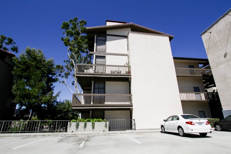 Top Floor condos at Marina Pacifica have raised ceiling