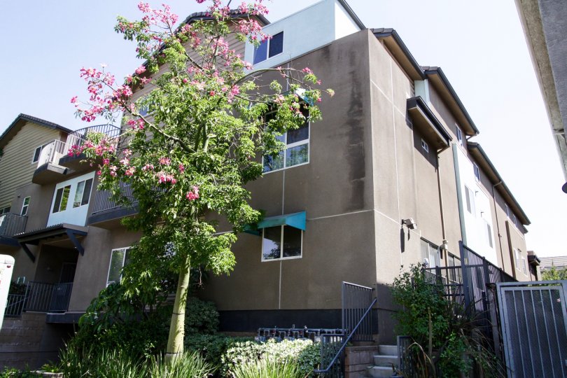 The Argento Townhomes building in North Hollywood
