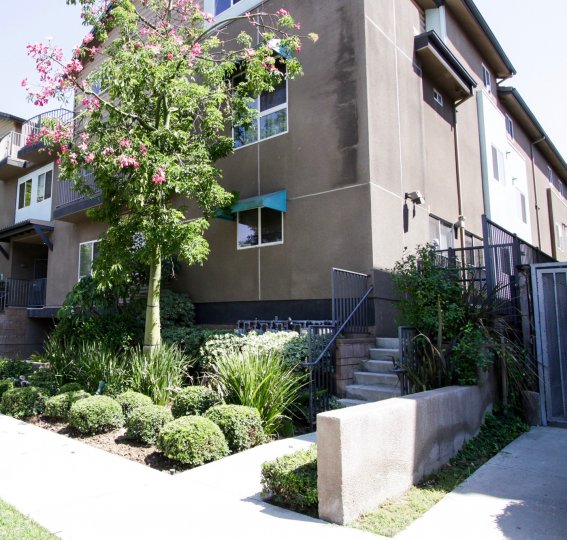 The sidewalk around the Argento Townhomes