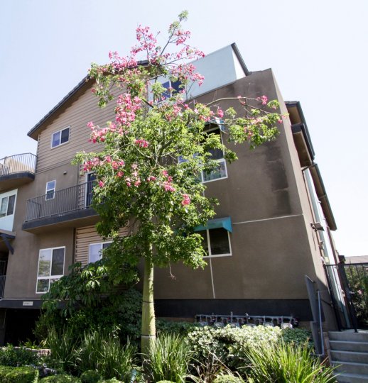 The balcony seen at Argento Townhomes