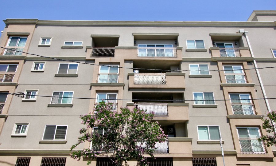 brown walls of Galatic Wilshire Palace, Hancook park, california