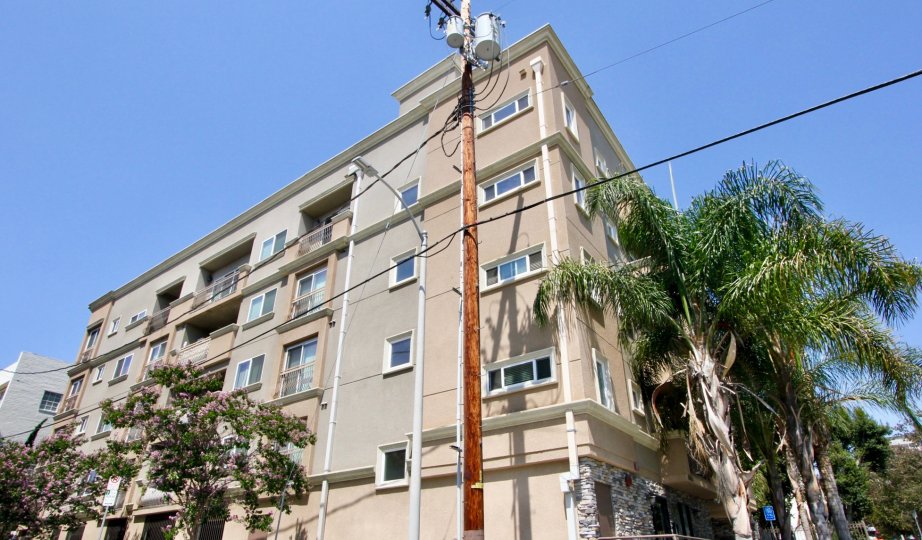 A big appartment in Wilshire Palace and the appartment seems to be nearly five floors